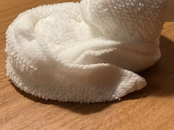 おしぼりのアヒル