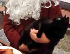 父親と猫の画像