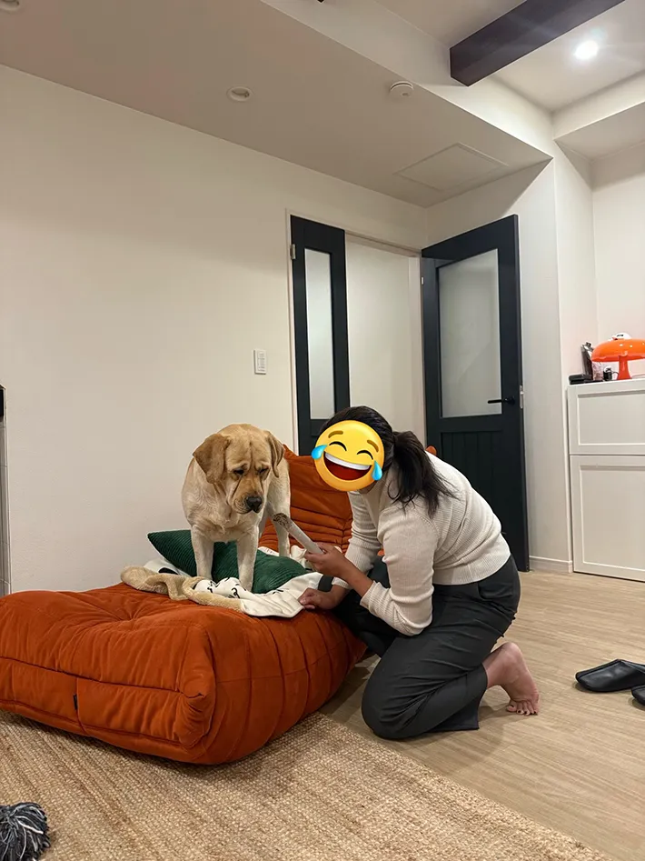 ラブラドールレトリバーの画像