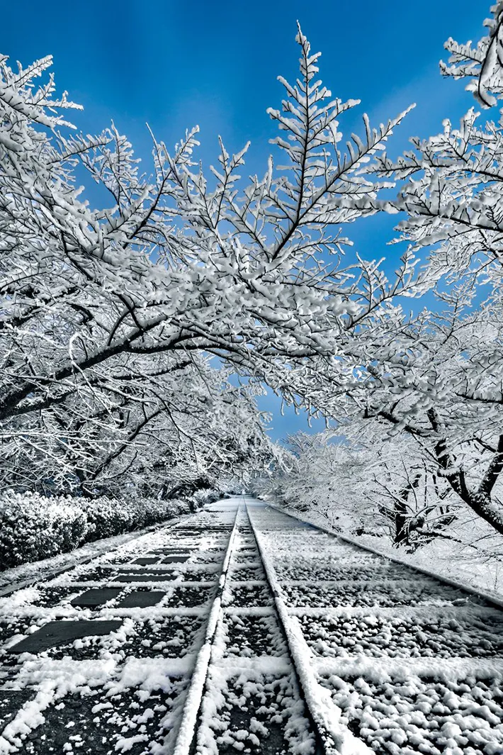 Ryogo Urataさん撮影・大雪の蹴上インクライン