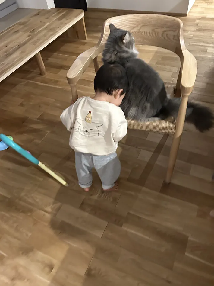 子供と猫