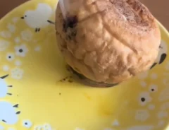 パンの動画スクリーンショット