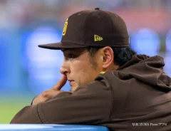 ダルビッシュ選手の画像