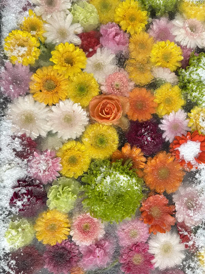 凍った花手水の写真