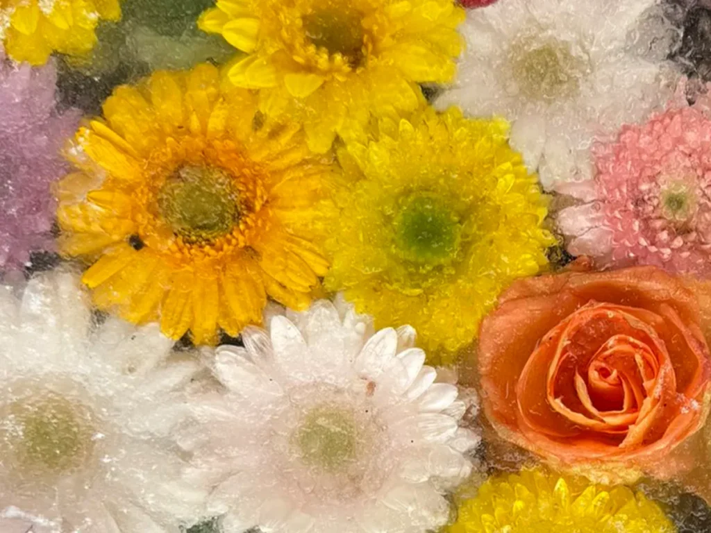 凍った花手水の写真