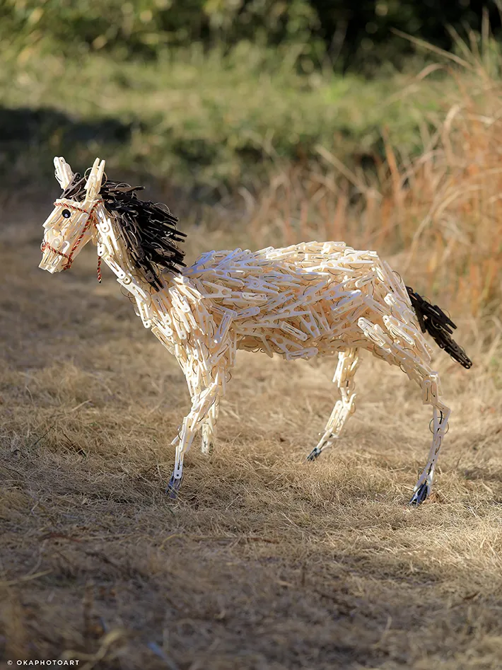 岡本なうさんのウマ