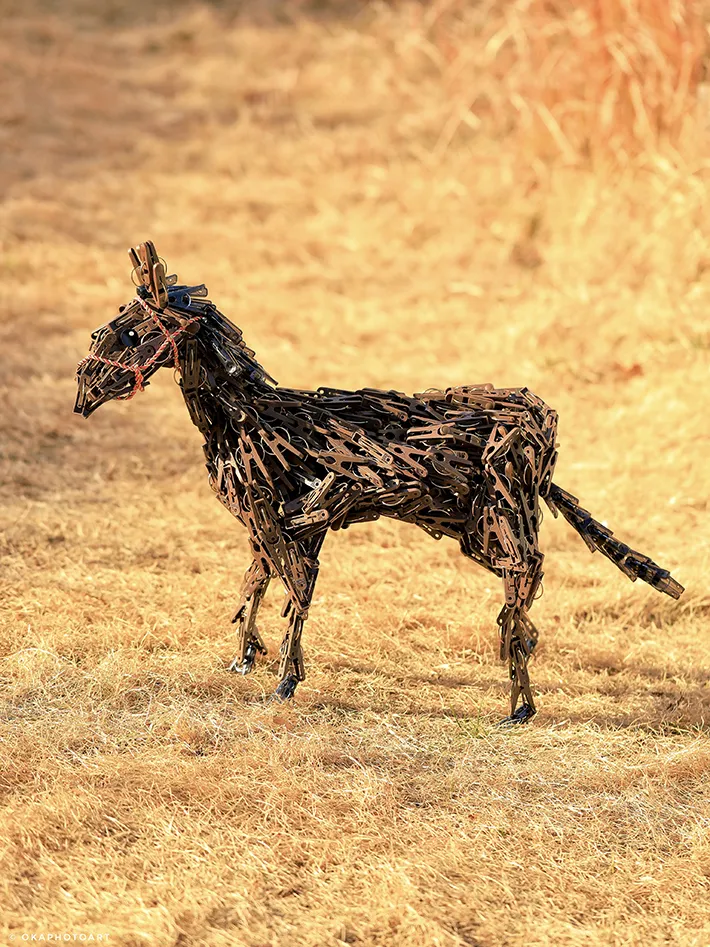 岡本なう（@okaphotoart）さんのウマ