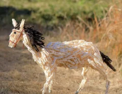 岡本なう（@okaphotoart）さんのウマ