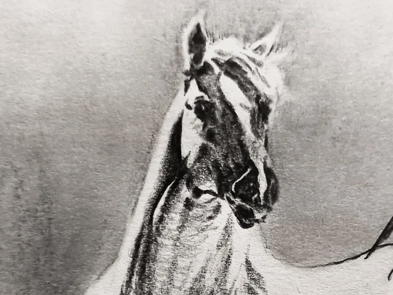 新品 馬絵 Amazon.co.jp: 競馬 馬 絵画 JRA ポストカード 長瀬智之 他 : 文房具