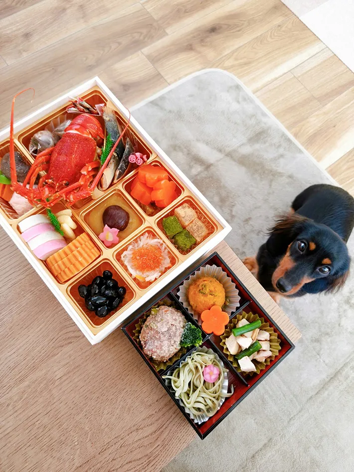犬用おせちの写真