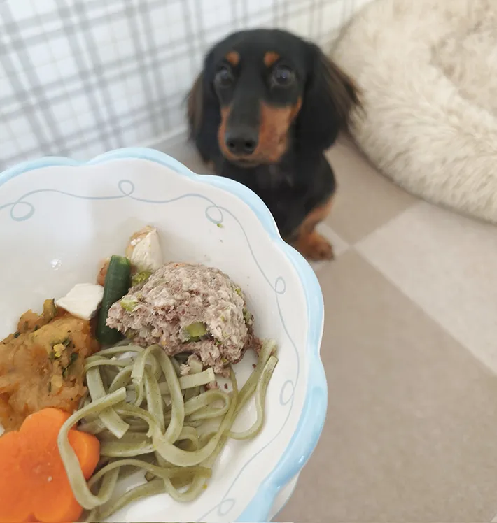 犬用おせちの写真