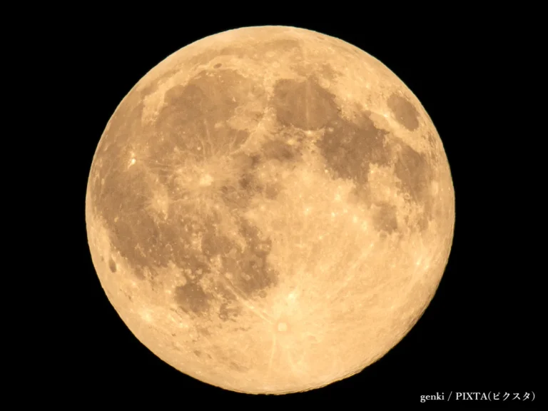 満月の写真
