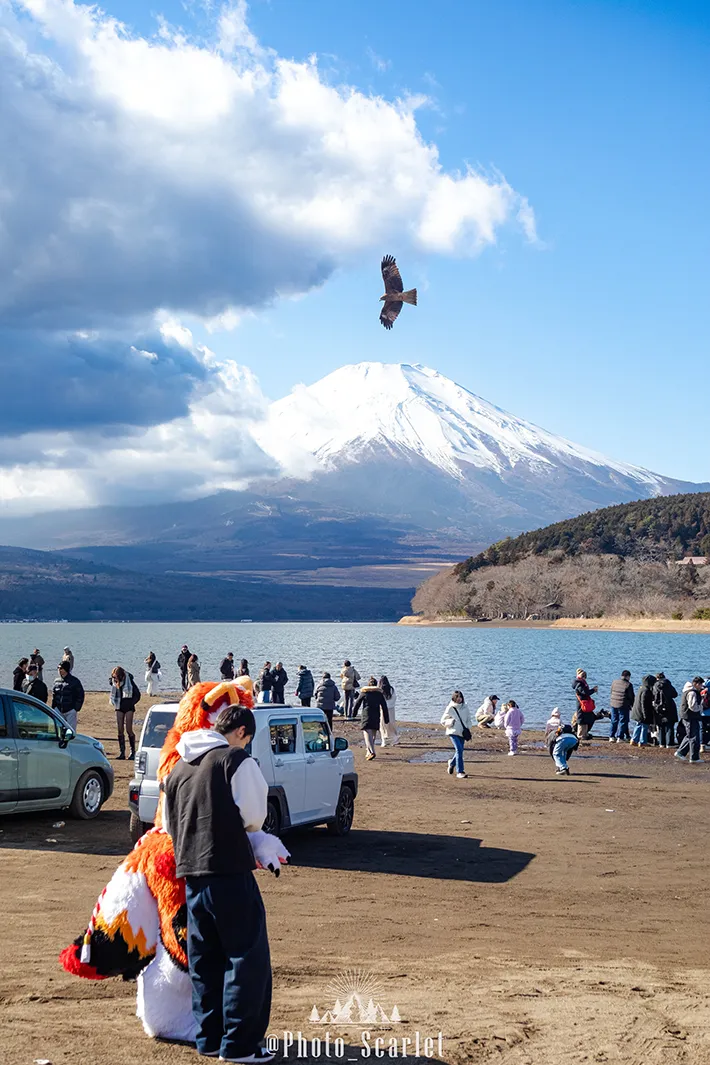 富士山やトビが共演した写真