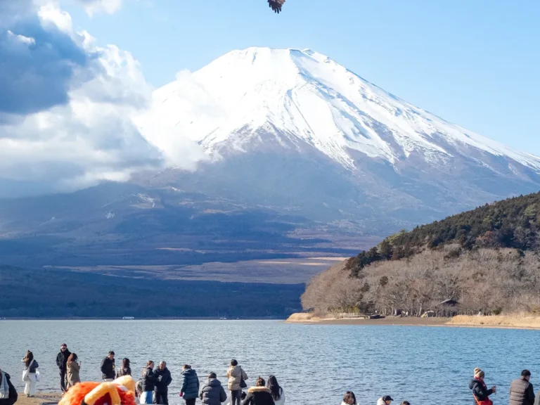 富士山やトビが共演した写真