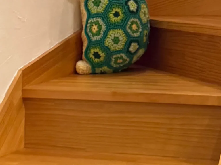 手編ニットのカメの写真