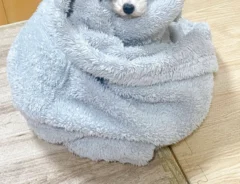 仕事に行きたくない飼い主　目の前にいたトイプードルが…「人間界の常識とは無縁」