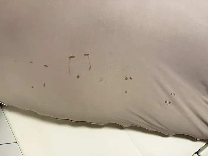 涙跡のついたクッションの写真
