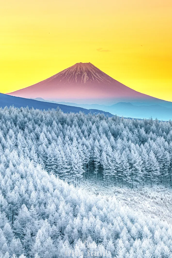 富士山のある風景