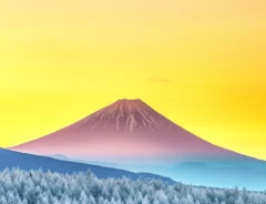 撮影者が追い続けた『奇跡の風景』　日本画のような１枚に「震えた」「現実と思えない」