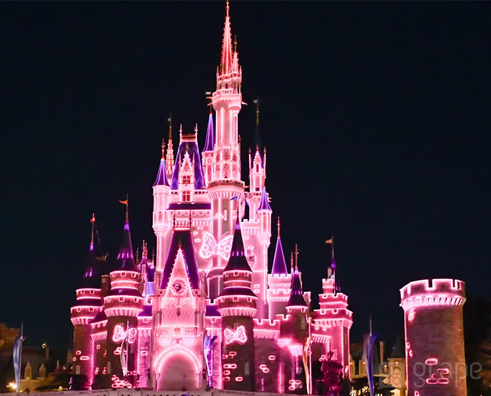 夜の環境演出『ファンダーナイト』（撮影：grape編集部）