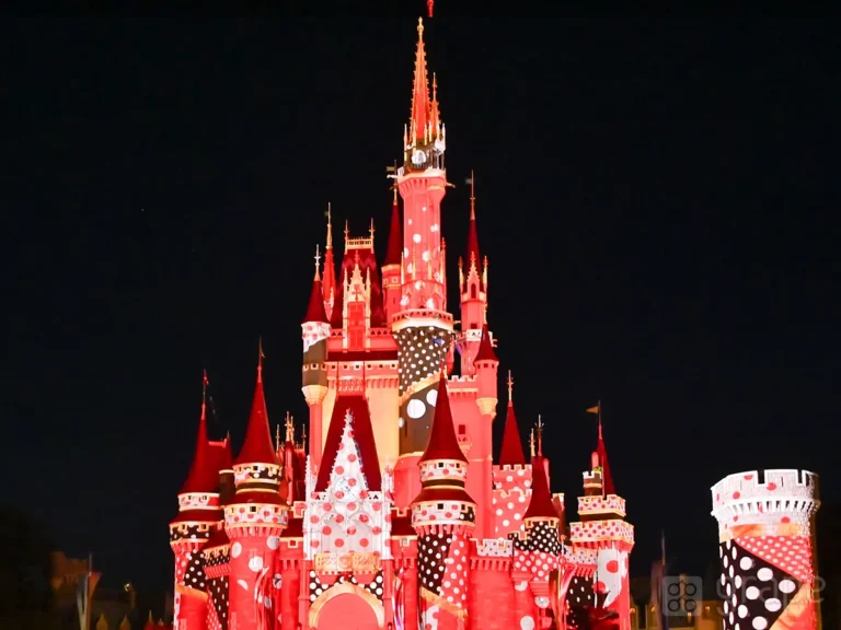 夜の環境演出『ファンダーナイト』（撮影：grape編集部）