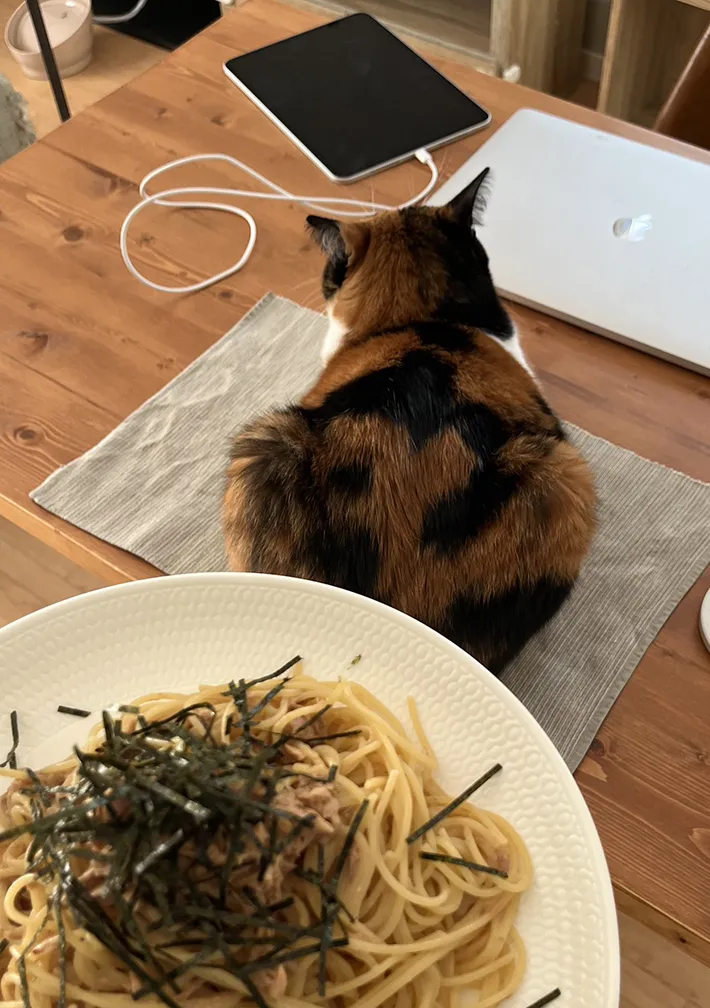 パスタと猫の写真