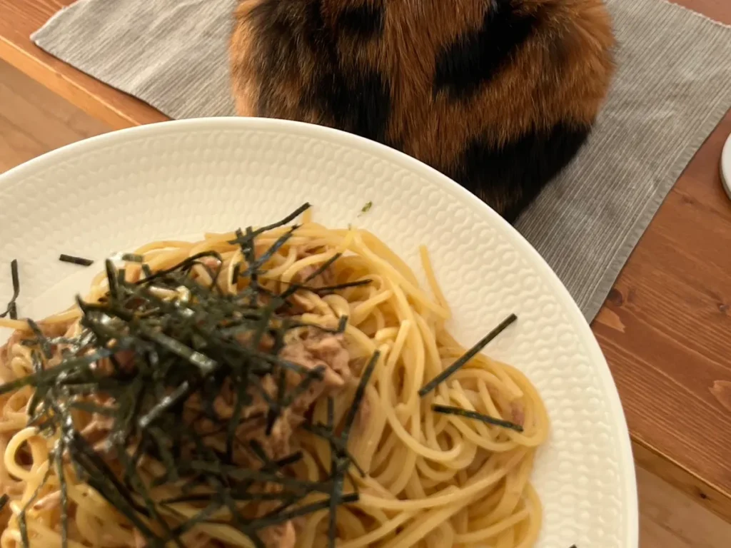 パスタと猫の写真