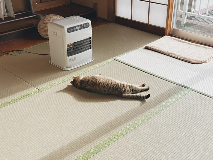 猫とファンヒーターの写真