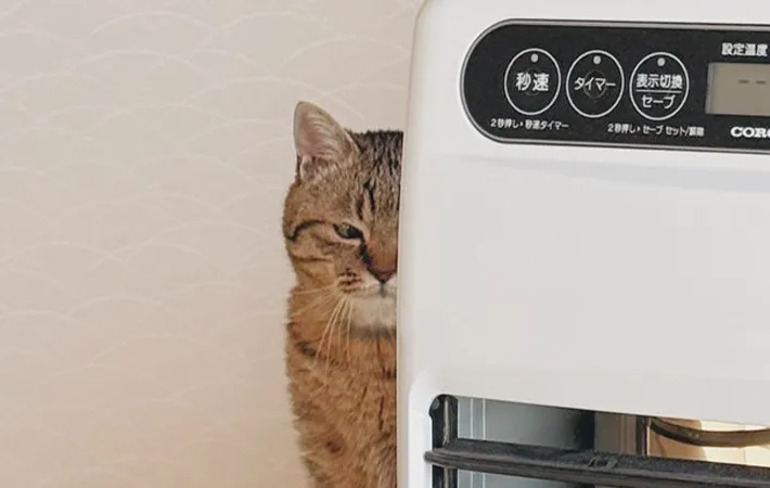 猫とファンヒーターの写真