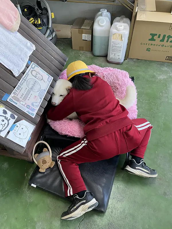 柴犬に抱きつく小学生の写真