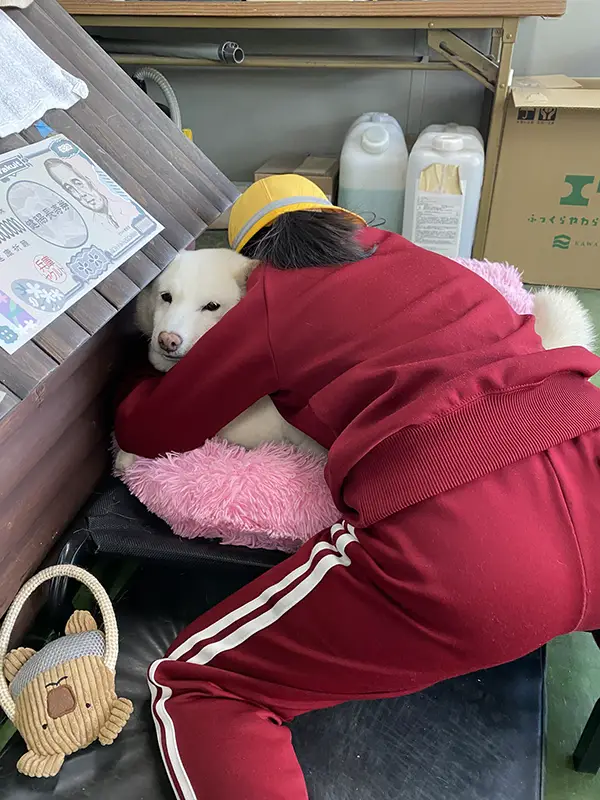 柴犬に抱きつく小学生の写真