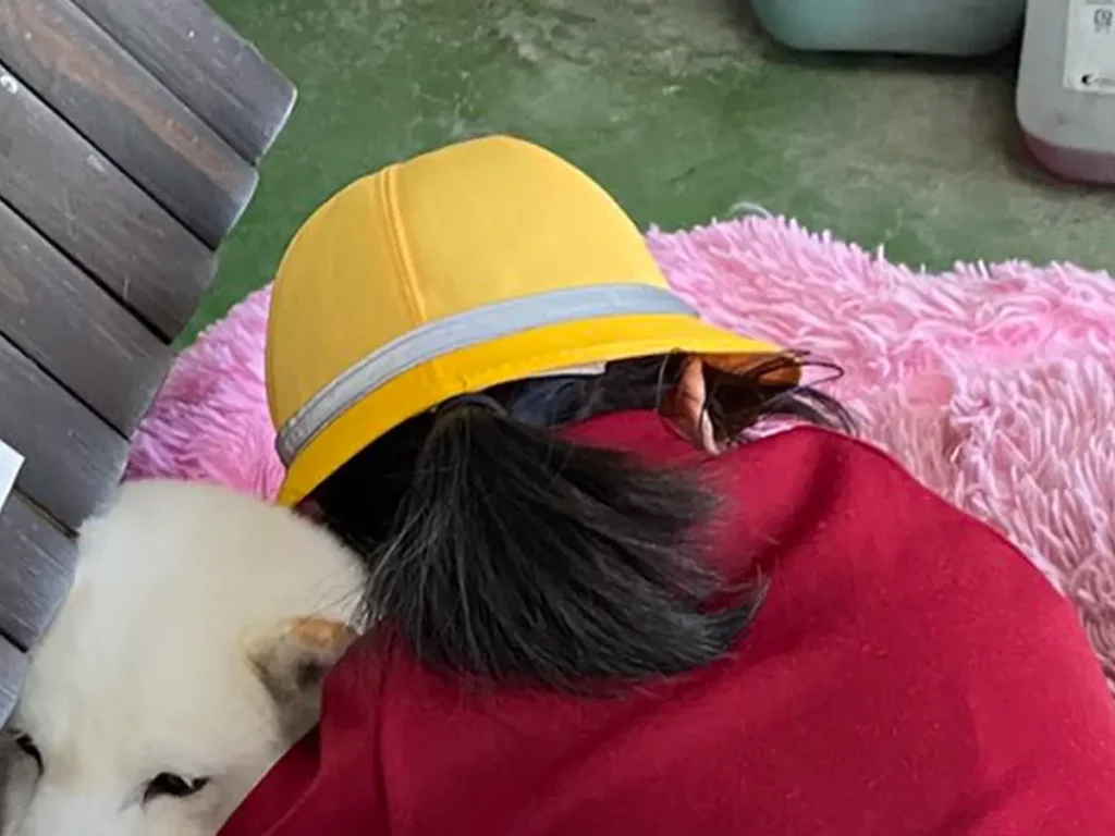 柴犬に抱きつく小学生の写真