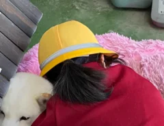 小学生「ただいまー！」　帰宅と同時にやったことが？「ポーズに吹いた」「いいなー！」