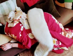 成人式後の写真