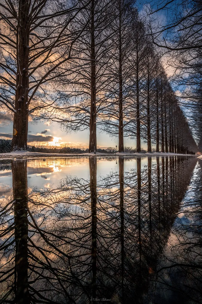 Iori Takanoさんの写真