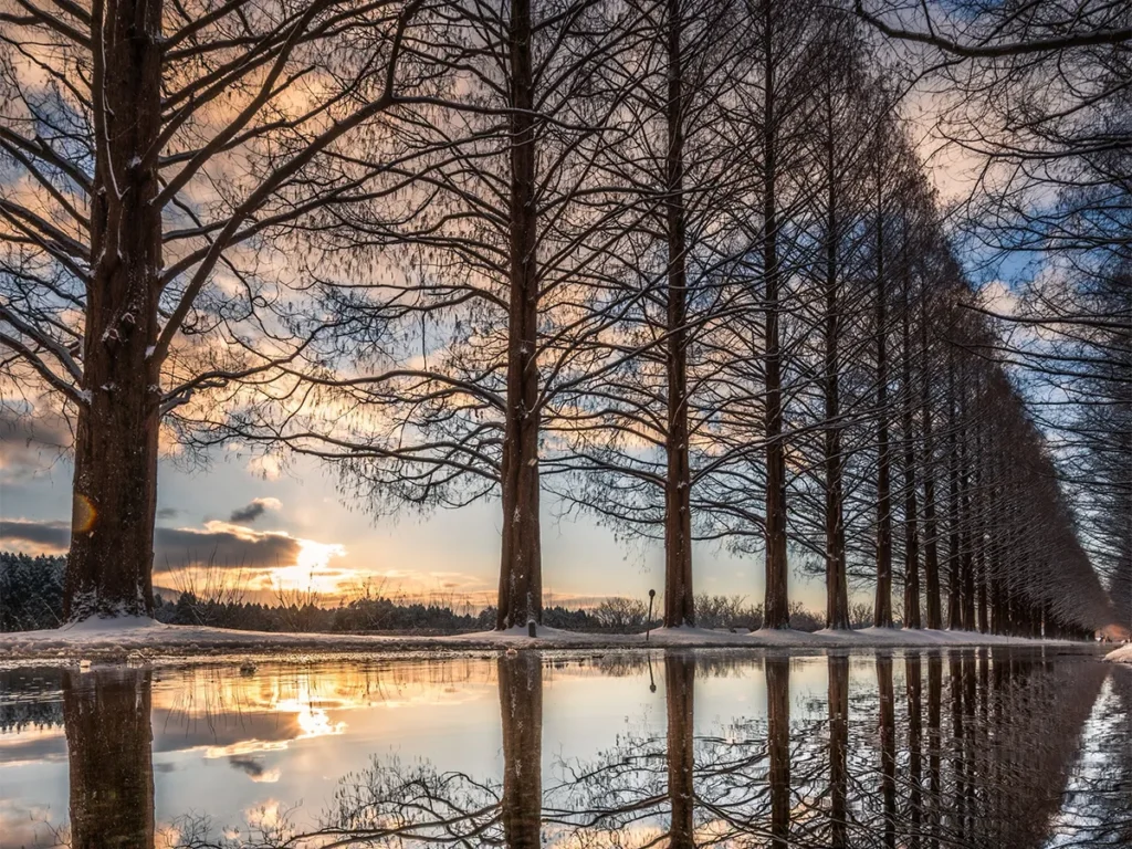 Iori Takanoさんの写真