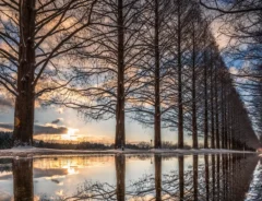 Iori Takanoさんの写真