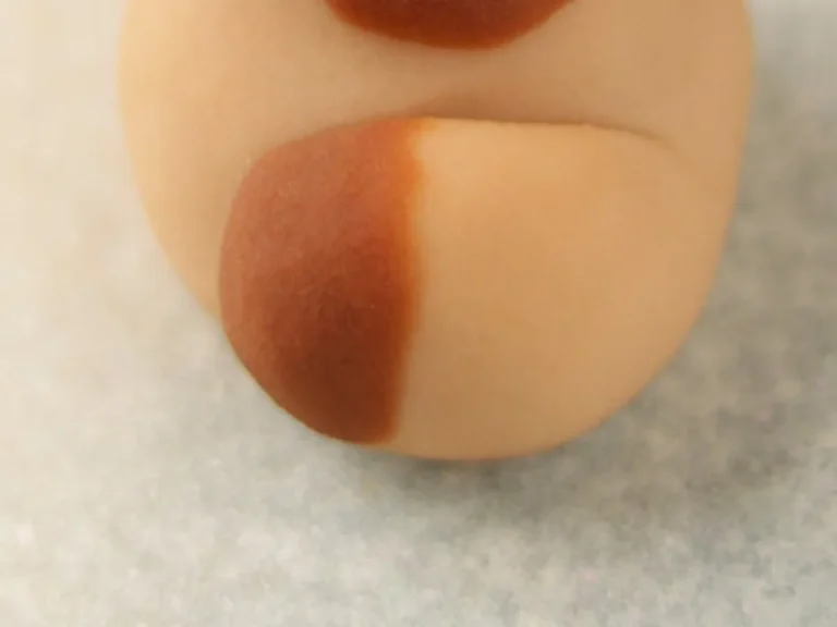 たぬきの練り切り