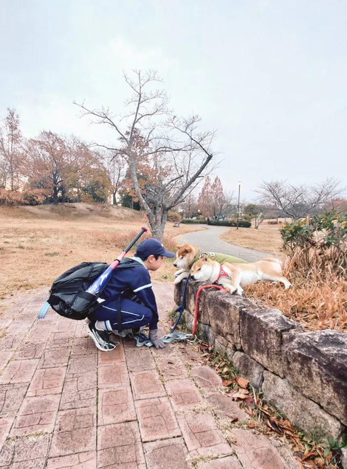 柴犬と子供