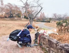 「帰りたくない！」とごねる柴犬　理由が？「笑った」「ほのぼのする」