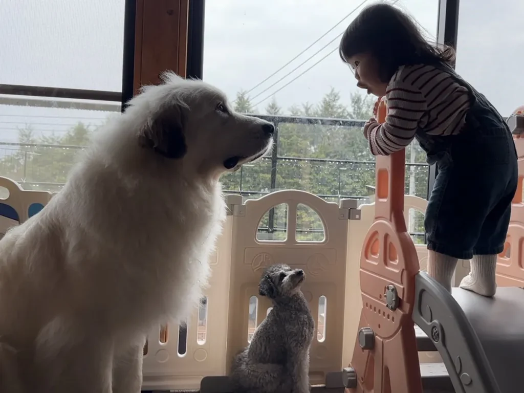 大型犬と女の子