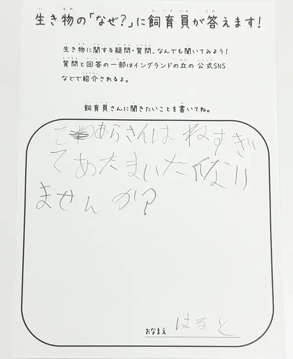 動物園の貼り紙の写真