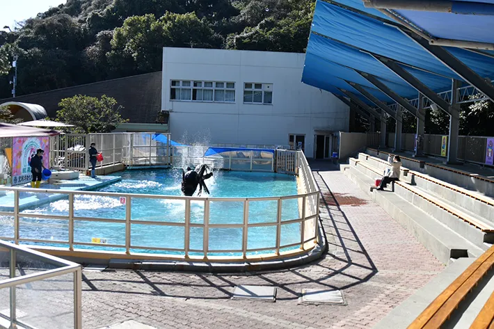 桂浜水族館の写真