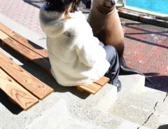 桂浜水族館の写真