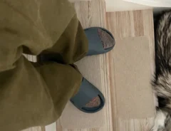 階段で寝ている犬の写真