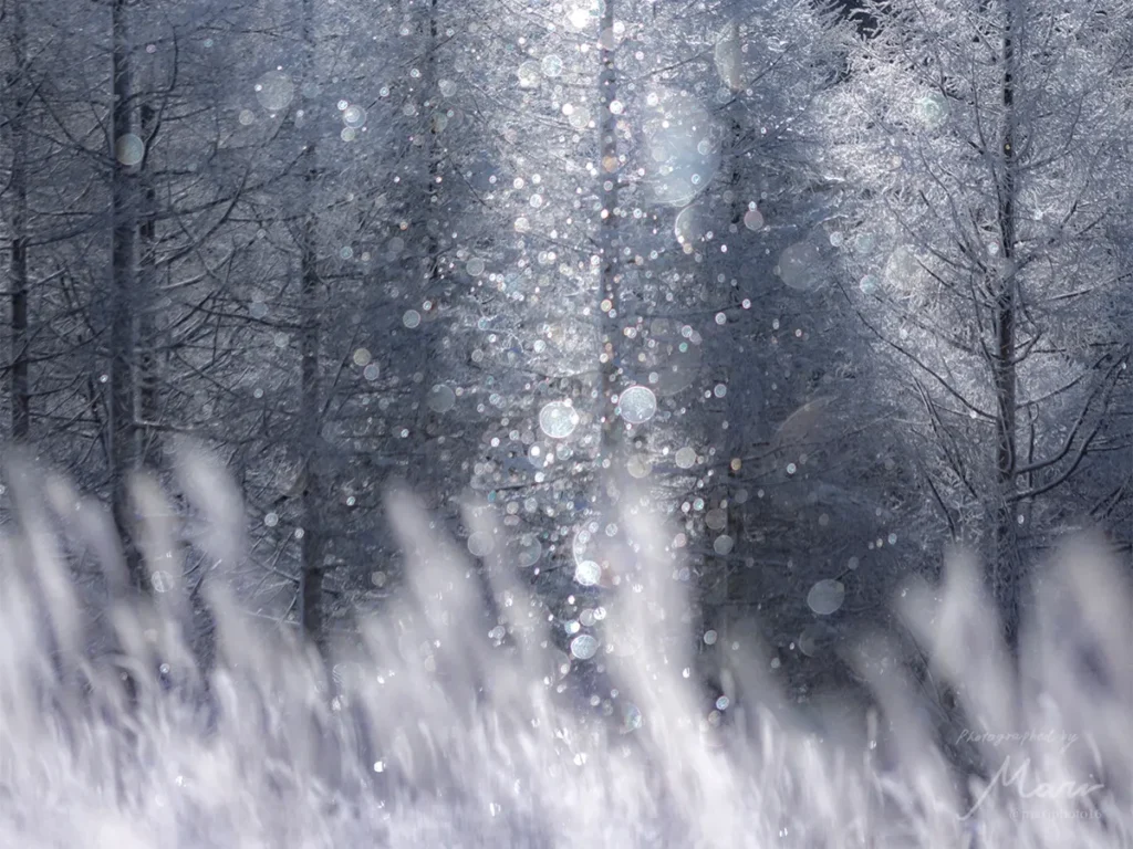 m a r iさんによるダイヤモンドダストの写真