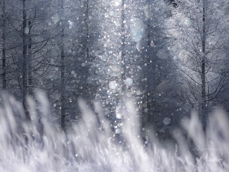 m a r iさんによるダイヤモンドダストの写真