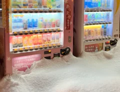 自動販売機の様子