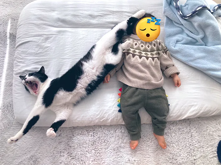 猫と添い寝する写真