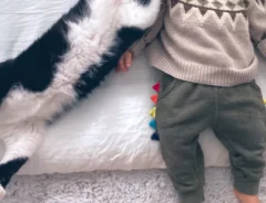 猫と添い寝する写真